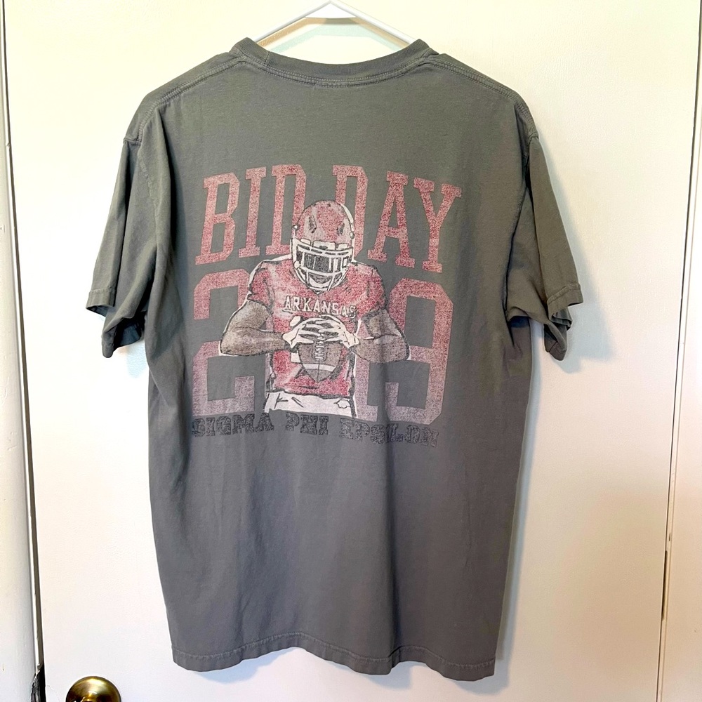 Comfort Colors University of Arkansas SigEp T-Shirt Gray